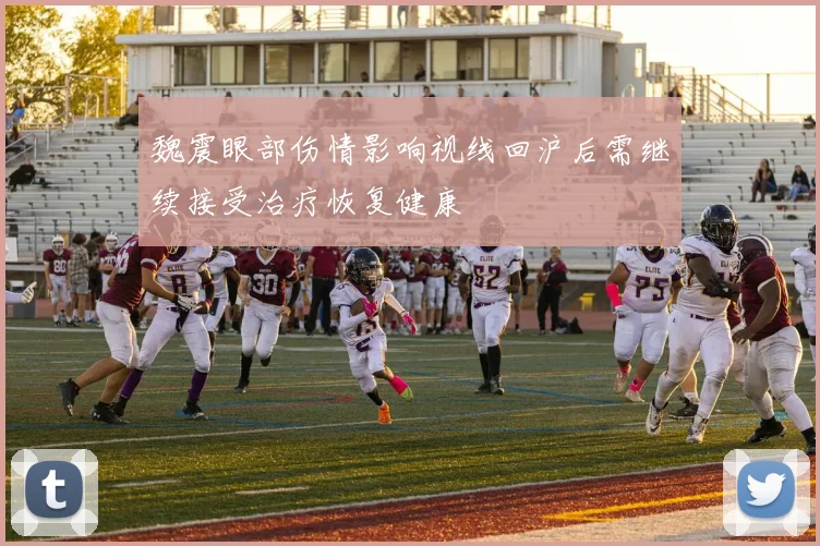 魏震眼部伤情影响视线回沪后需继续接受治疗恢复健康